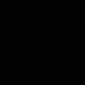 Meet your Posher, Marisela